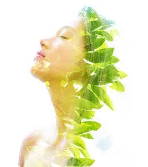 images